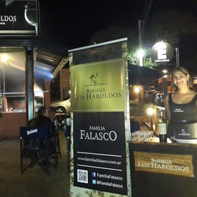 Degustación de Vinos de la Bodega LOS HAROLDOS de Familia Falasco Degustación de Vinos de la Bodega LOS HAROLDOS de Familia Falasco